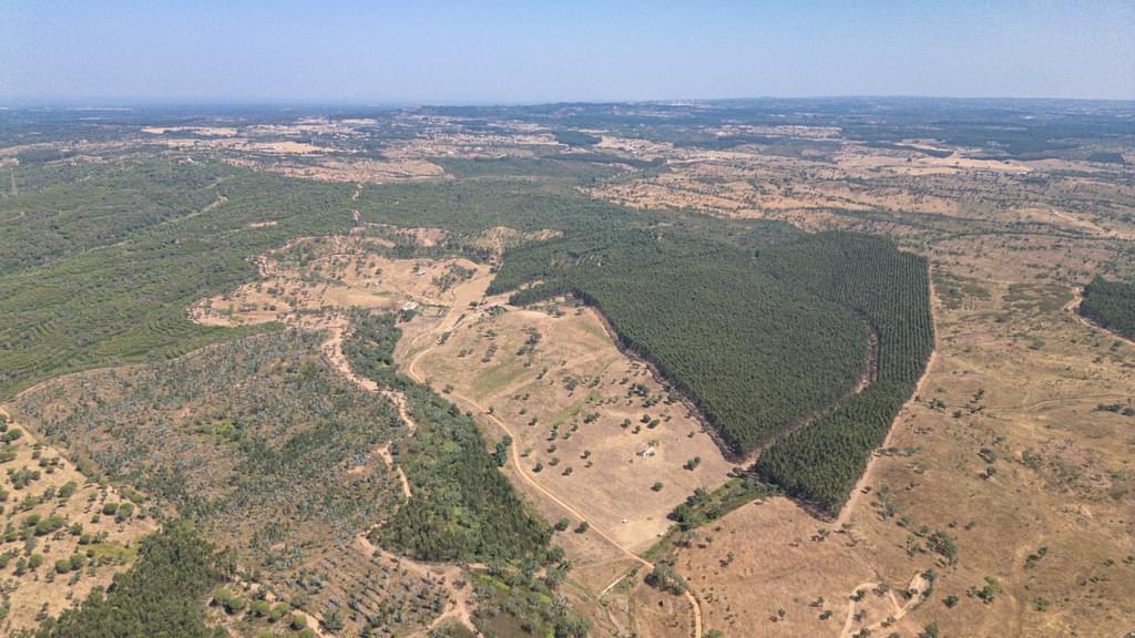 Rural land 10.3 ha, Sonega, Santiago do Cacem 2241238332