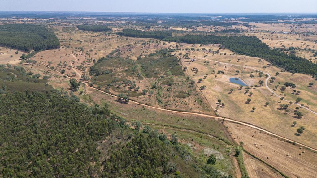 Rural land 10.3 ha, Sonega, Santiago do Cacem 2241238332