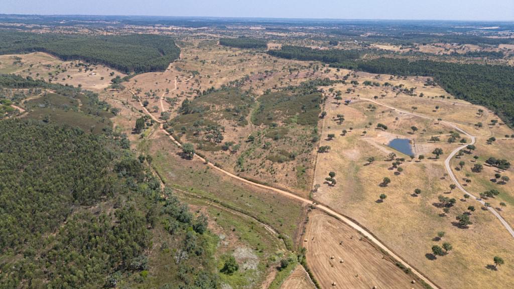 Rural land 10.3 ha, Sonega, Santiago do Cacem 2241238332