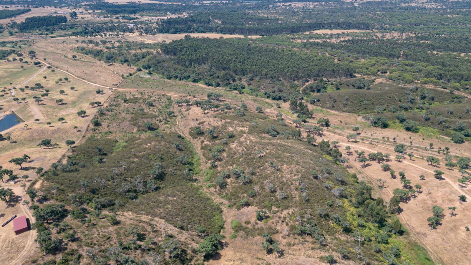 Terreno Urbano 10.3 ha, Porto Covo, Sines - Imagem 18