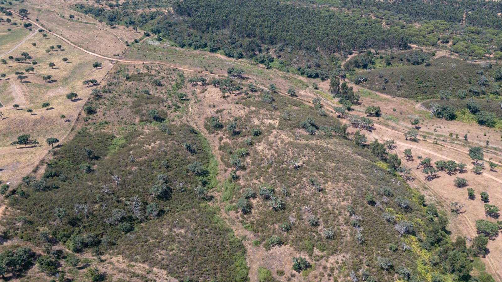 Terreno Urbano 10.3 ha, Porto Covo, Sines - Imagem 19
