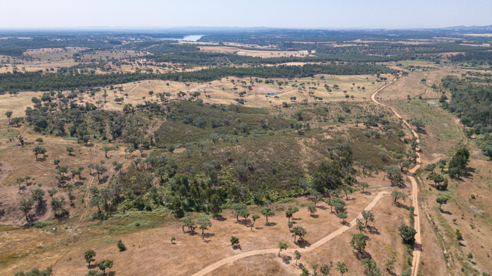 Terreno Urbano 10.3 ha, Porto Covo, Sines - Imagem 21