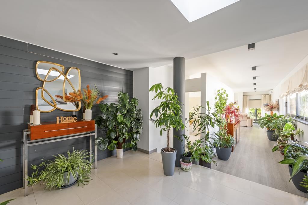 3 Bedroom Detached house with swimming pool, Álcacer do Sal, Alcacer do Sal 263049762