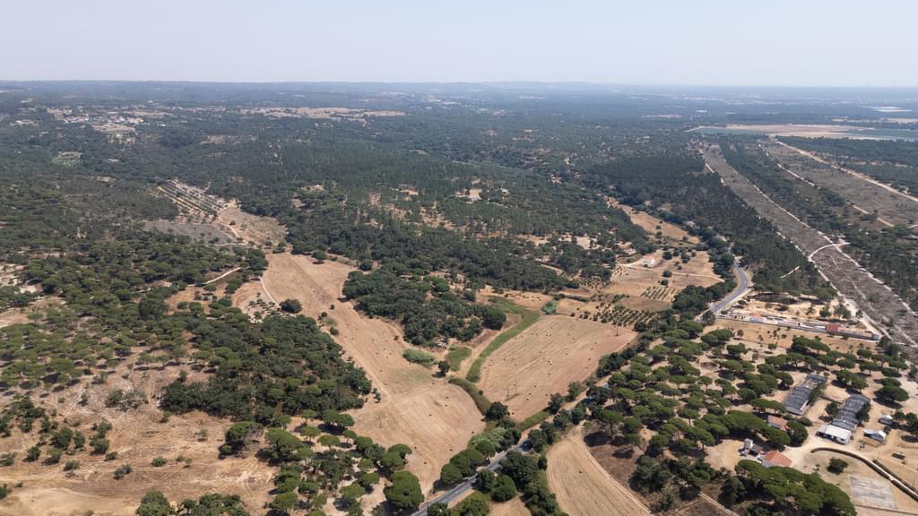 Mixed land 18.2 ha, Melides, Grandola 1333830071