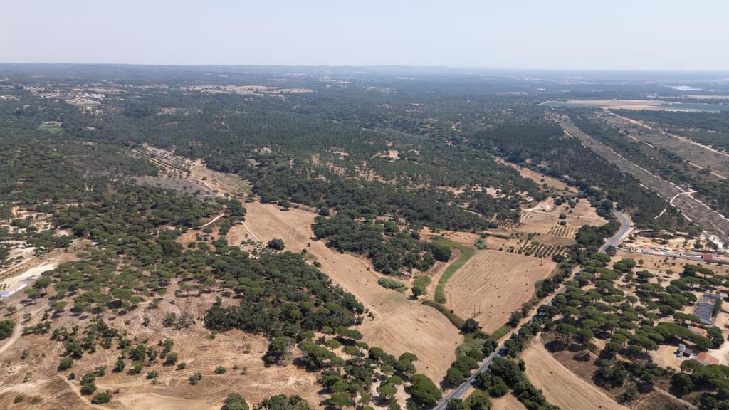 Mixed land 18.2 ha, Melides, Grandola 1333830071