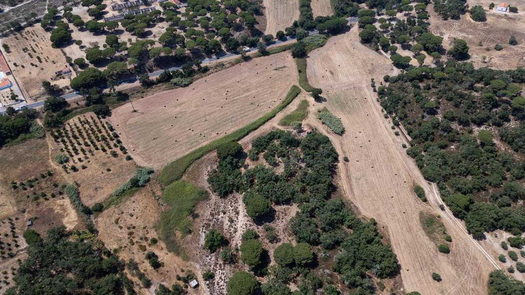 Mixed land 18.2 ha, Melides, Grandola 1333830071