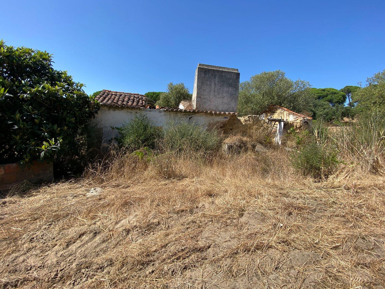 Terreno Misto 18.2 ha, Melides, Grandola - Imagem 17
