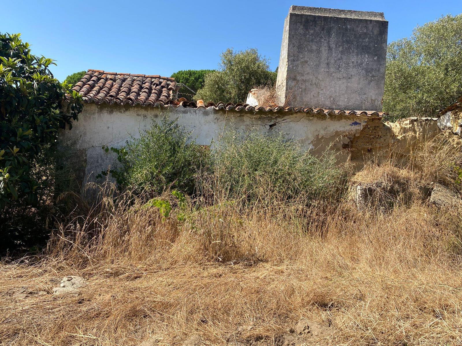 Terreno Misto 18.2 ha, Melides, Grandola - Imagem 15