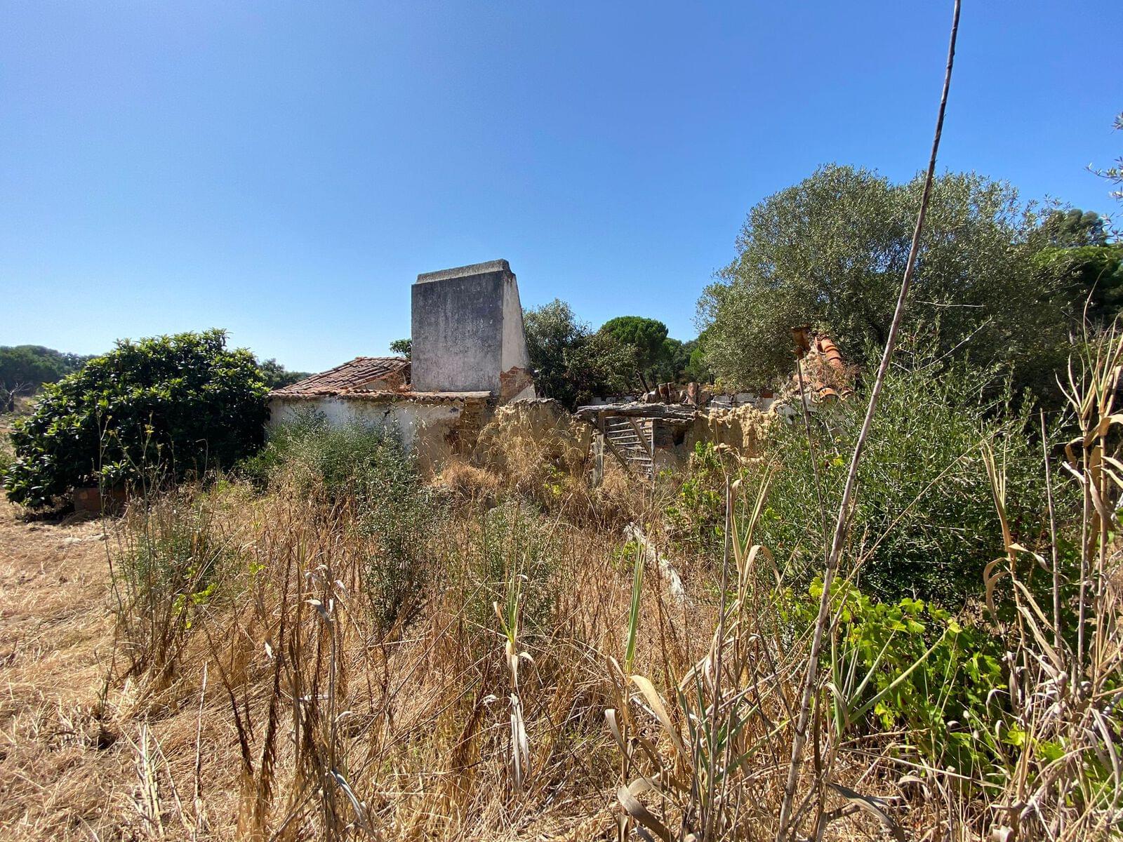 Terreno Misto 18.2 ha, Melides, Grandola - Imagem 14
