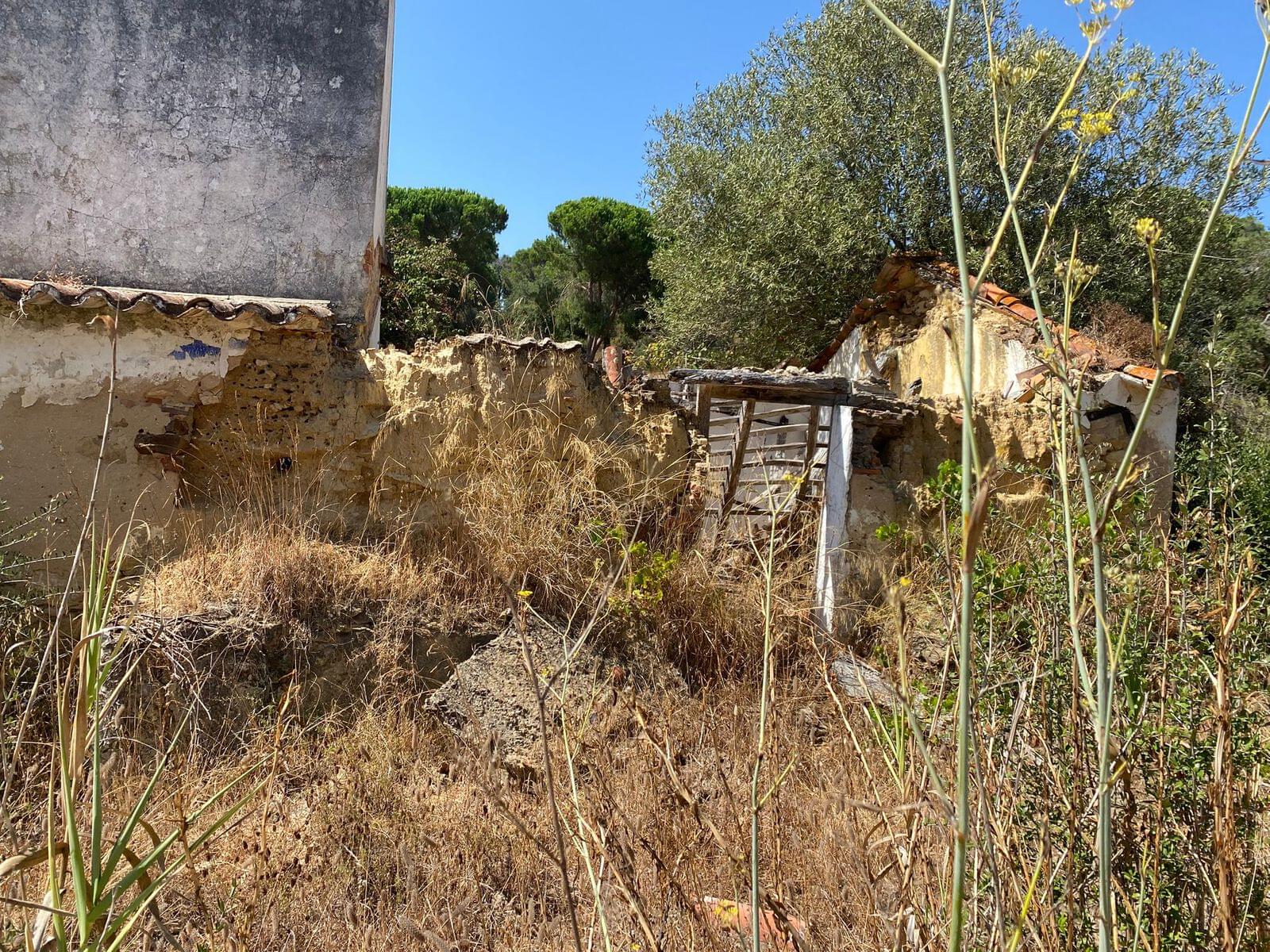 Terreno Misto 18.2 ha, Melides, Grandola - Imagem 16
