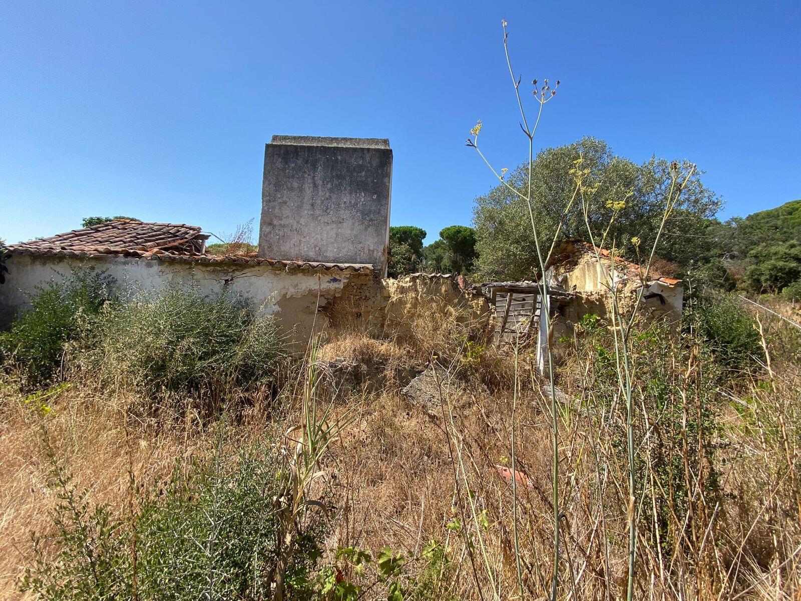 Terreno Misto 18.2 ha, Melides, Grandola - Imagem 13