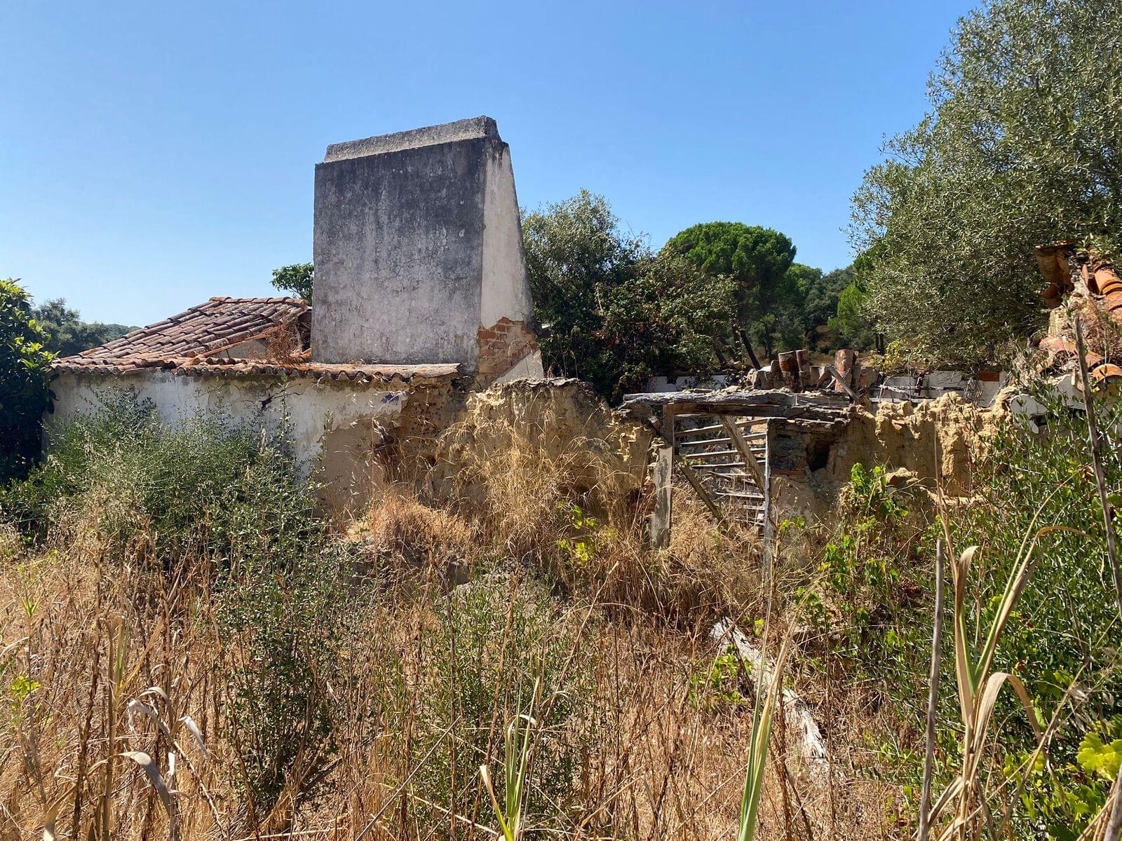 Terreno Misto 18.2 ha, Melides, Grandola - Imagem 11