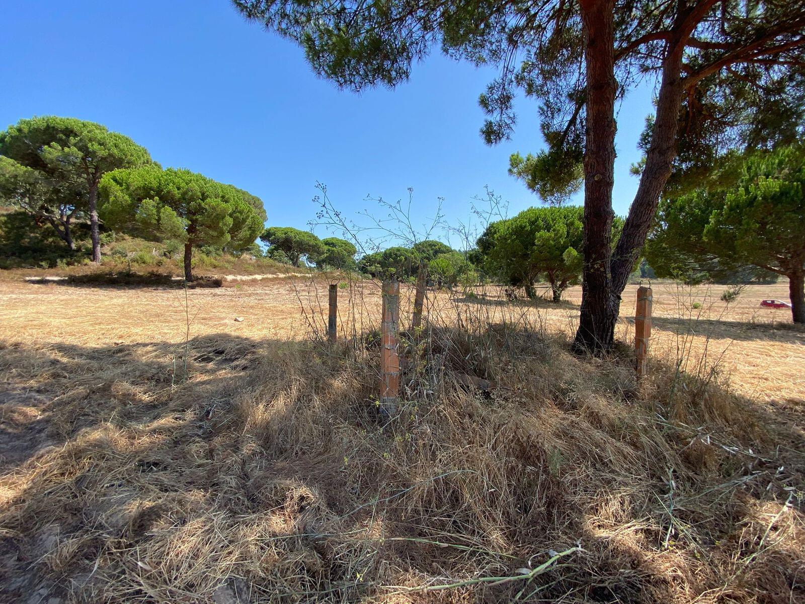 Terreno Misto 18.2 ha, Melides, Grandola - Imagem 12