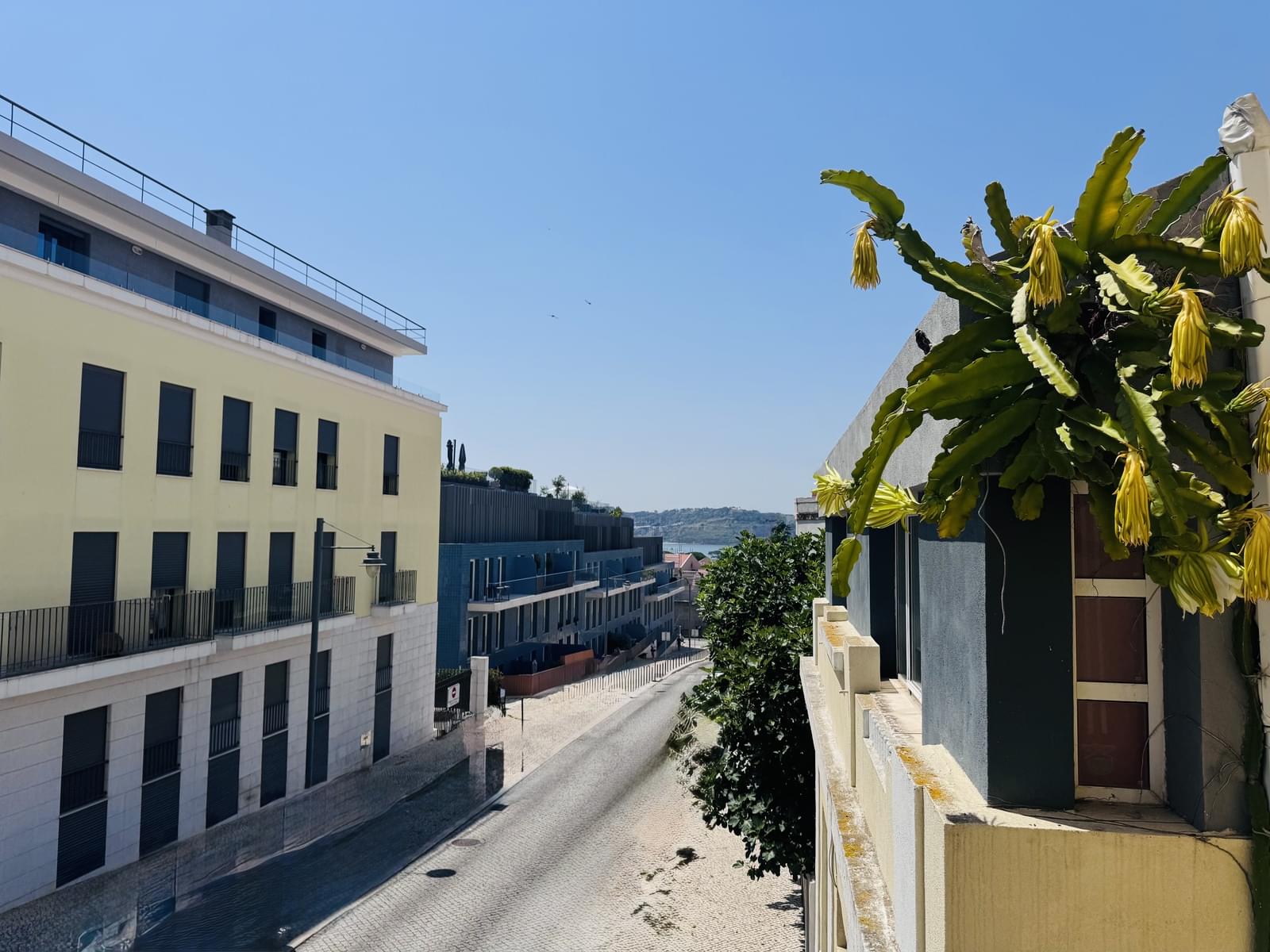 Apartamento T1 com vista, Ajuda, Lisboa - Imagem 10