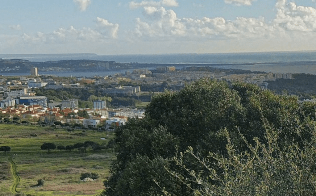 Land 8.0 ha, Oeiras 3540097800