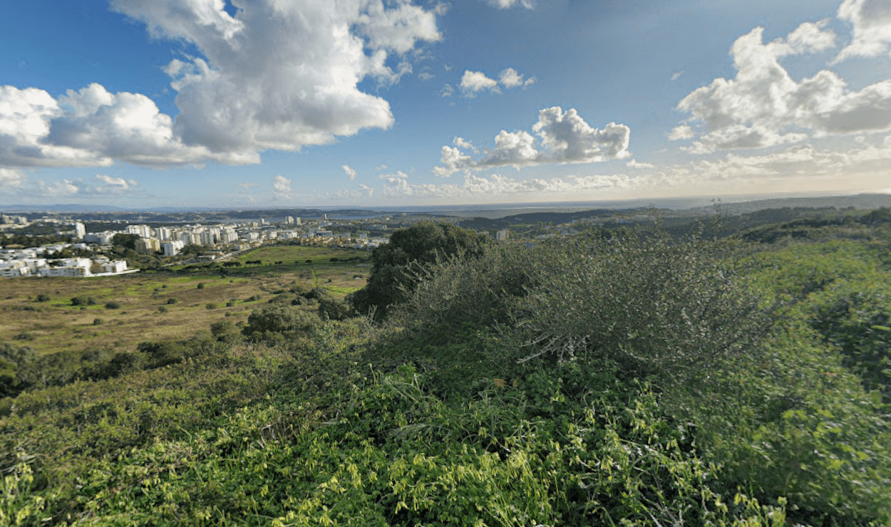 Terreno 8.3 ha, Oeiras - Imagem 2