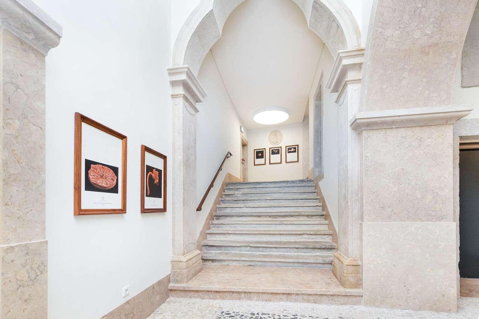 Apartamento T3 com jardim, Campo Mártires da Pátria, Lisboa - Imagem 24