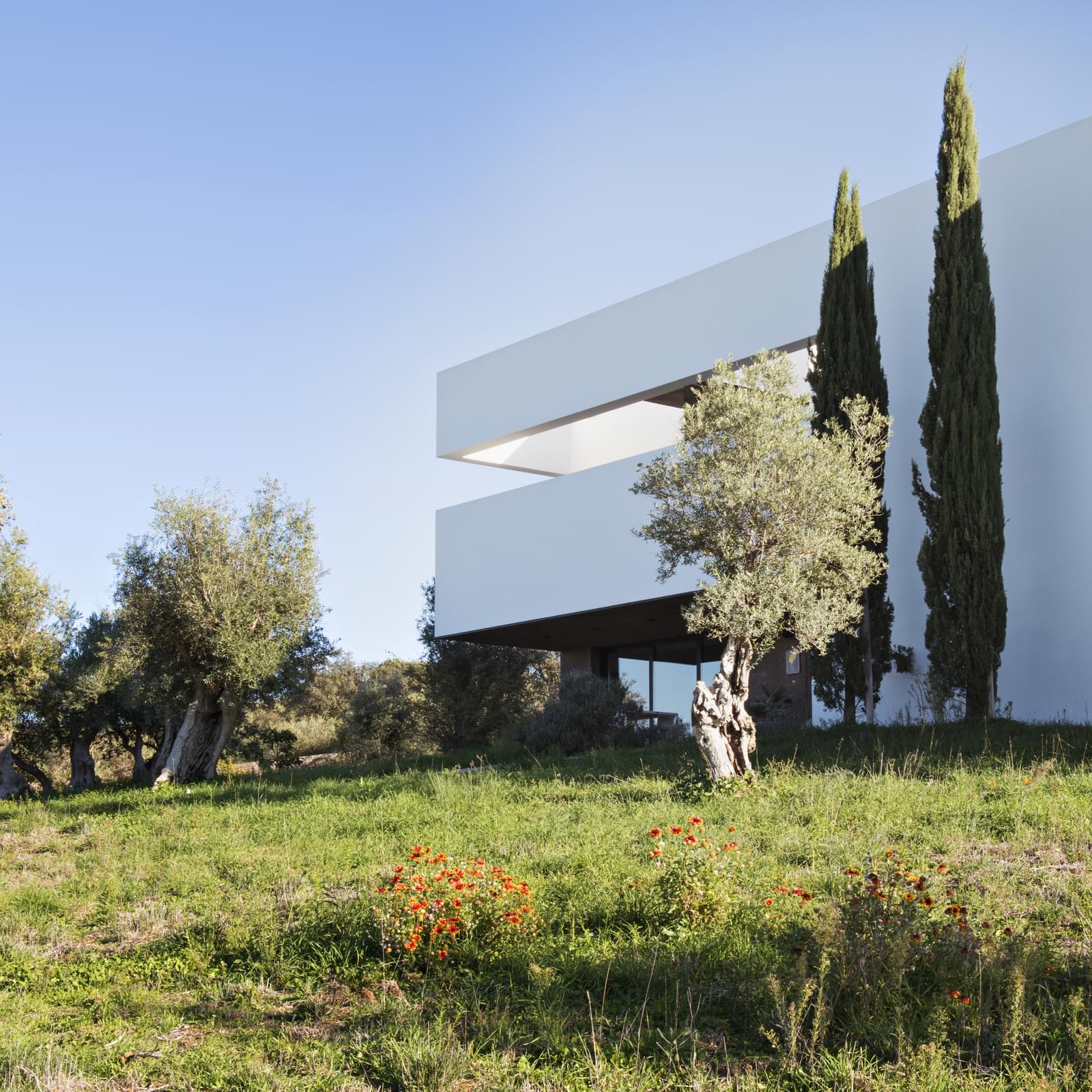 Herdade 5.4 ha, Arraiolos - Imagem 2