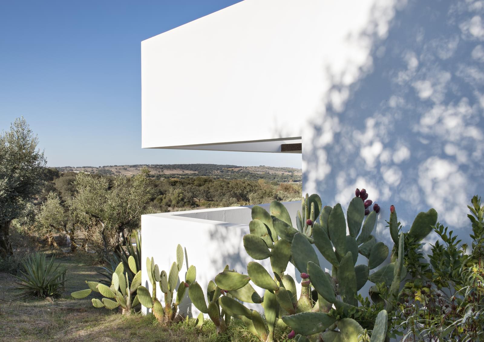 Herdade 5.4 ha, Arraiolos - Imagem 12