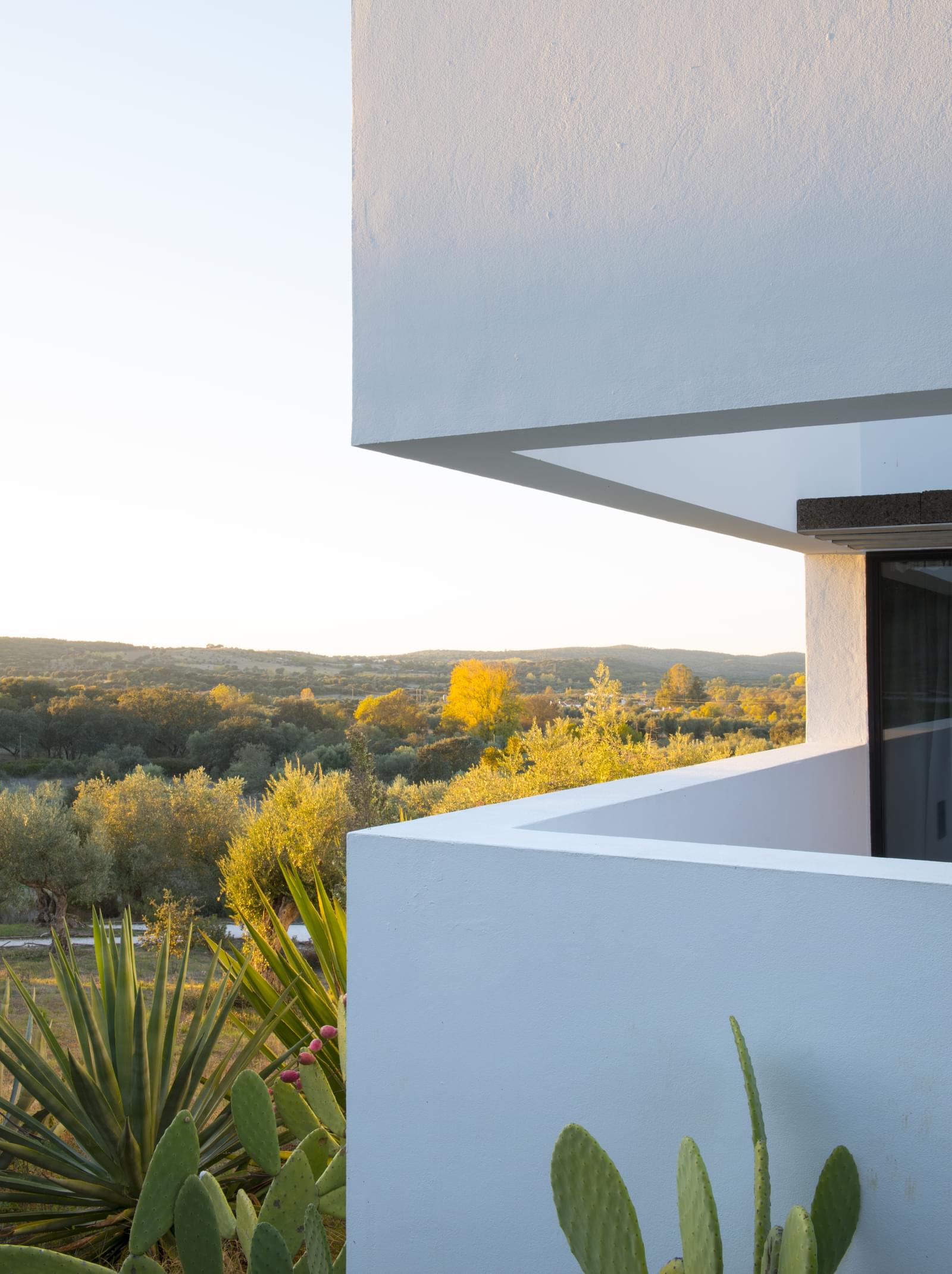 Herdade 5.4 ha, Arraiolos - Imagem 13