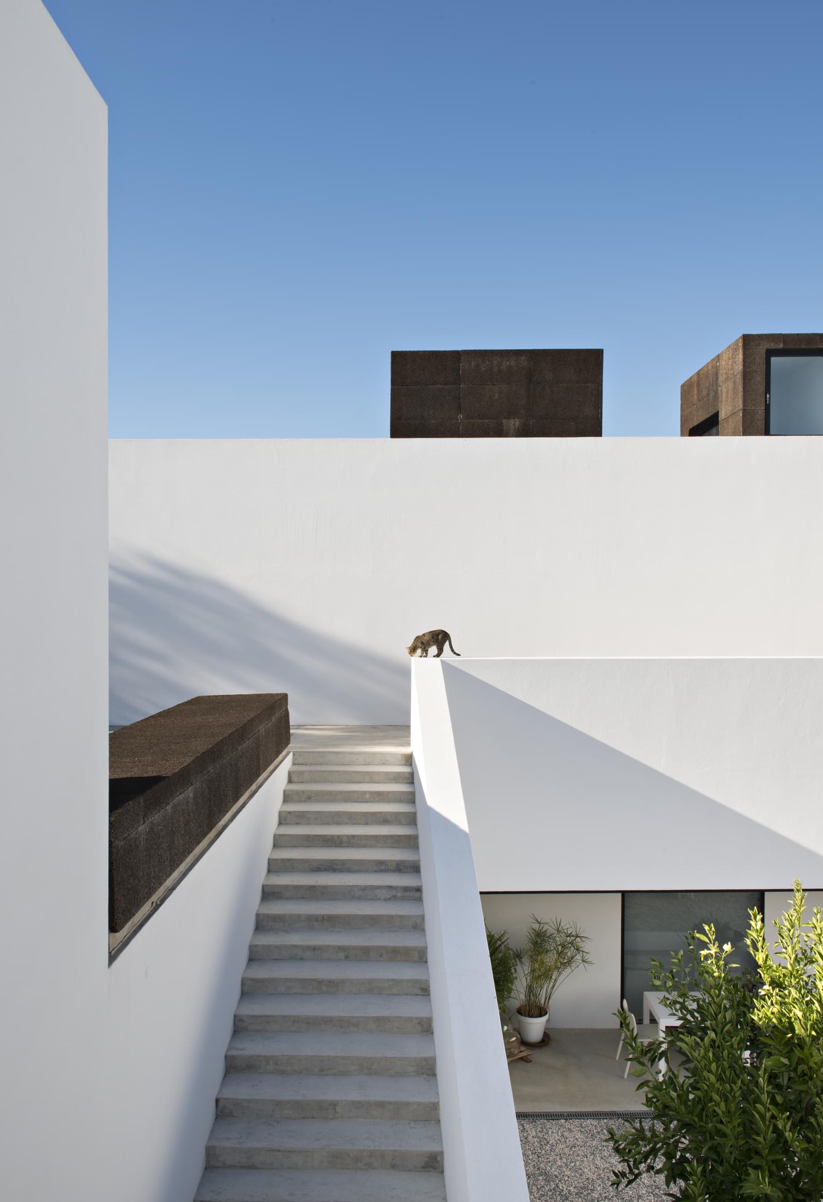 Herdade 5.4 ha, Arraiolos - Imagem 21