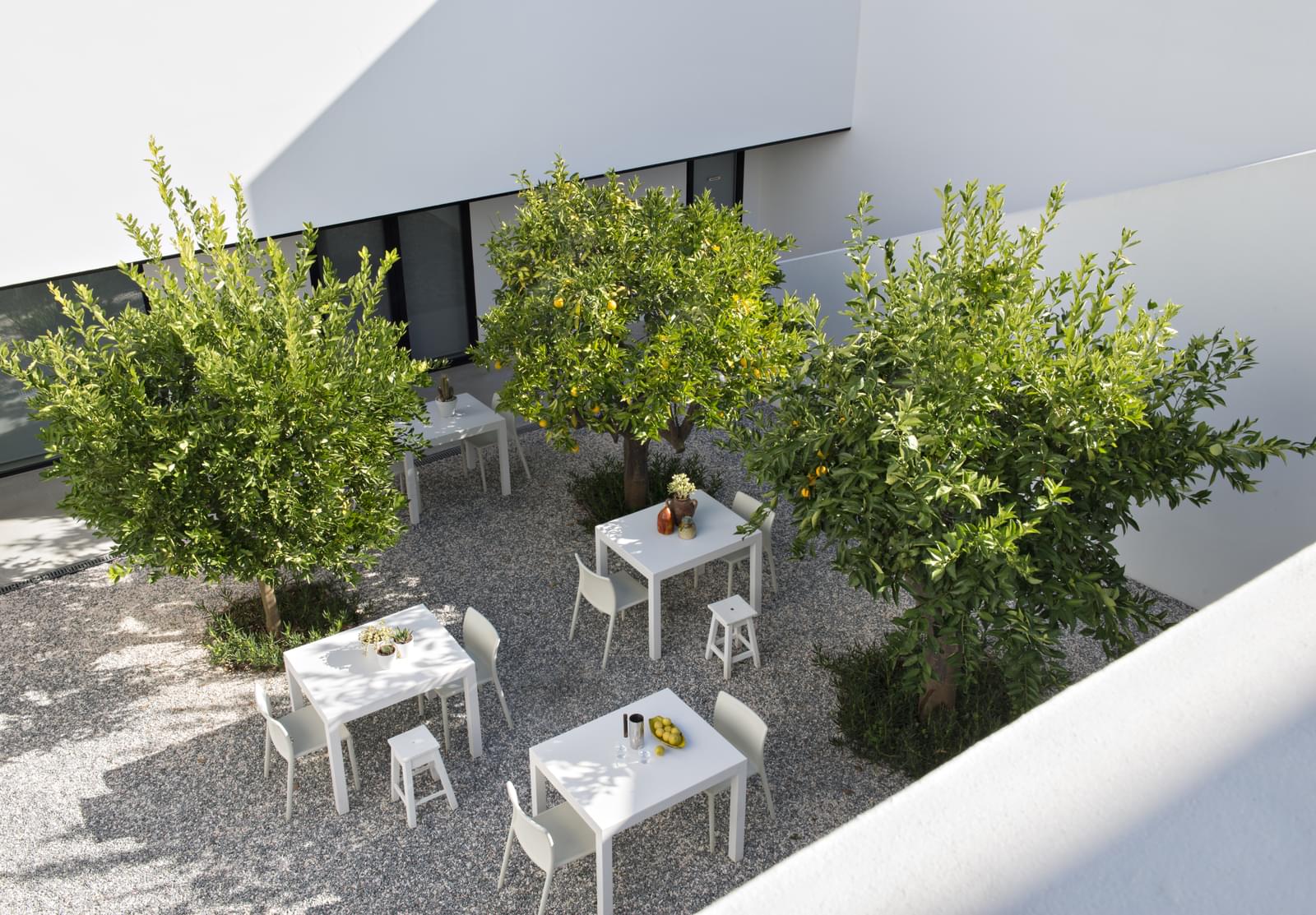 Herdade 5.4 ha, Arraiolos - Imagem 22