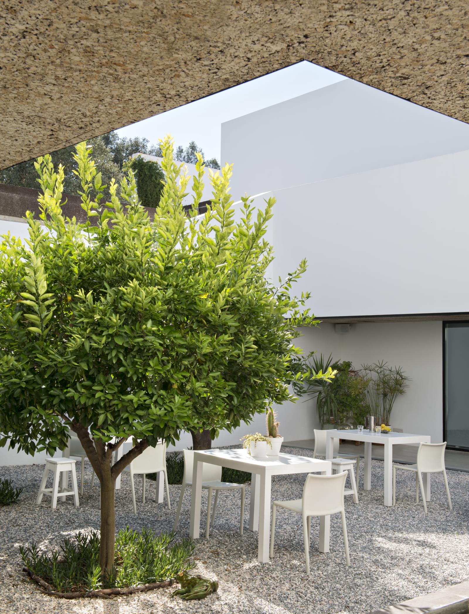 Herdade 5.4 ha, Arraiolos - Imagem 24