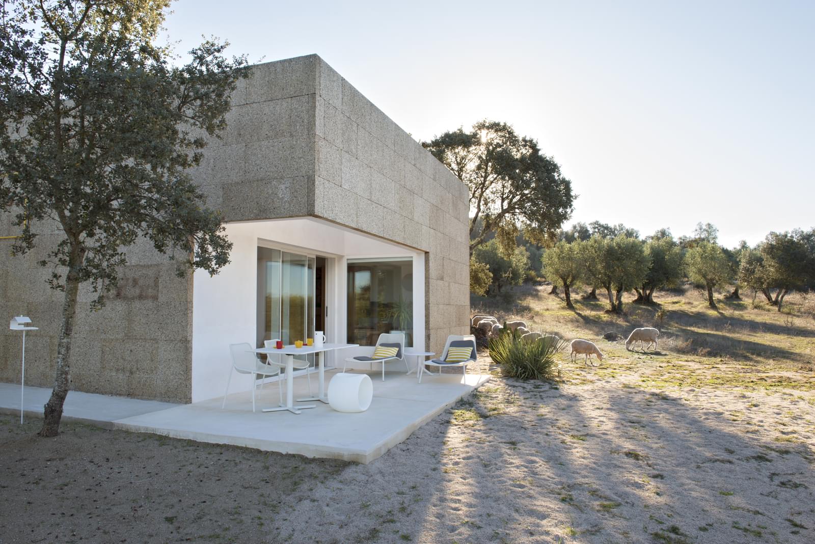 Herdade 5.4 ha, Arraiolos - Imagem 32