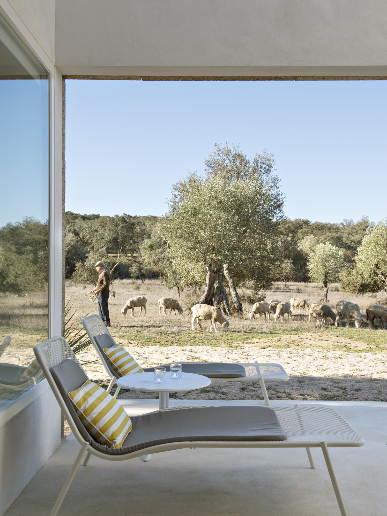 Herdade 5.4 ha, Arraiolos - Imagem 37