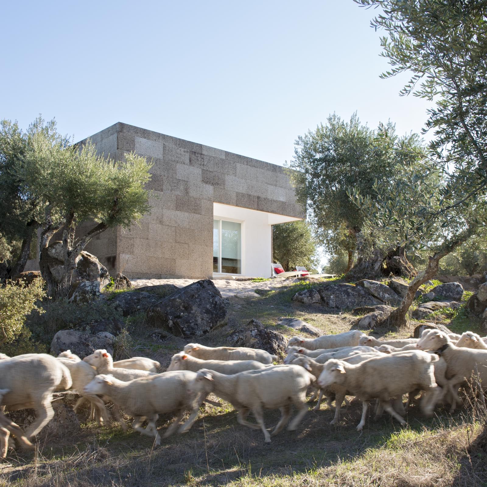 Herdade 5.4 ha, Arraiolos - Imagem 41