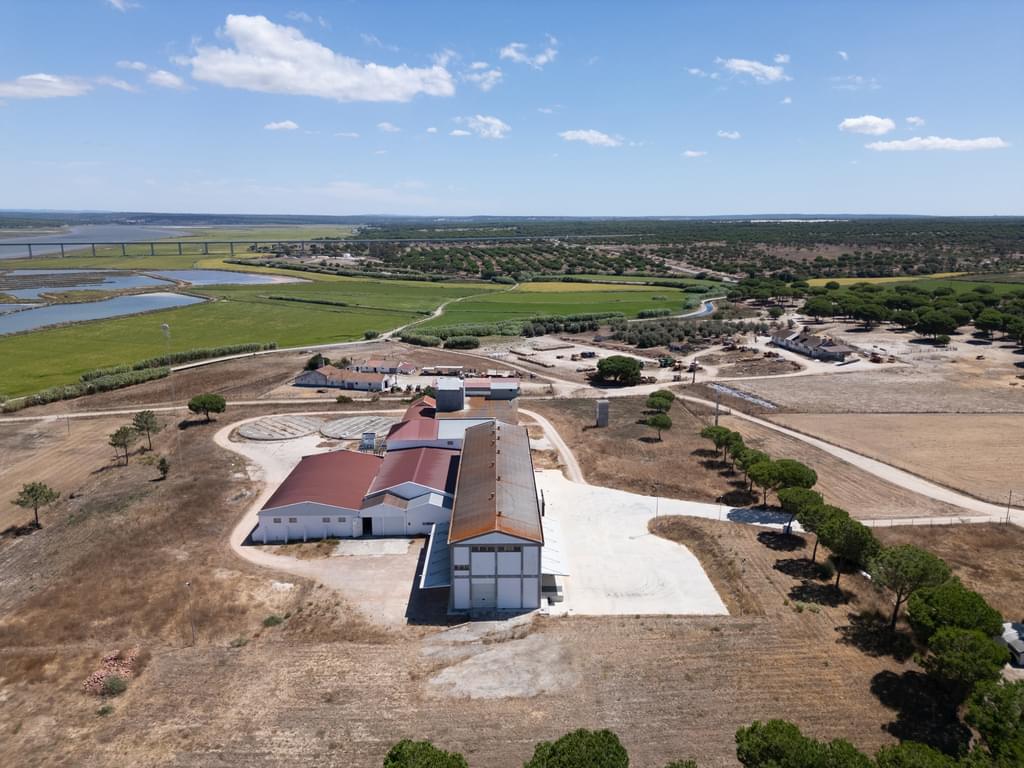 Warehouse, Álcacer do Sal, Alcacer do Sal 138072592