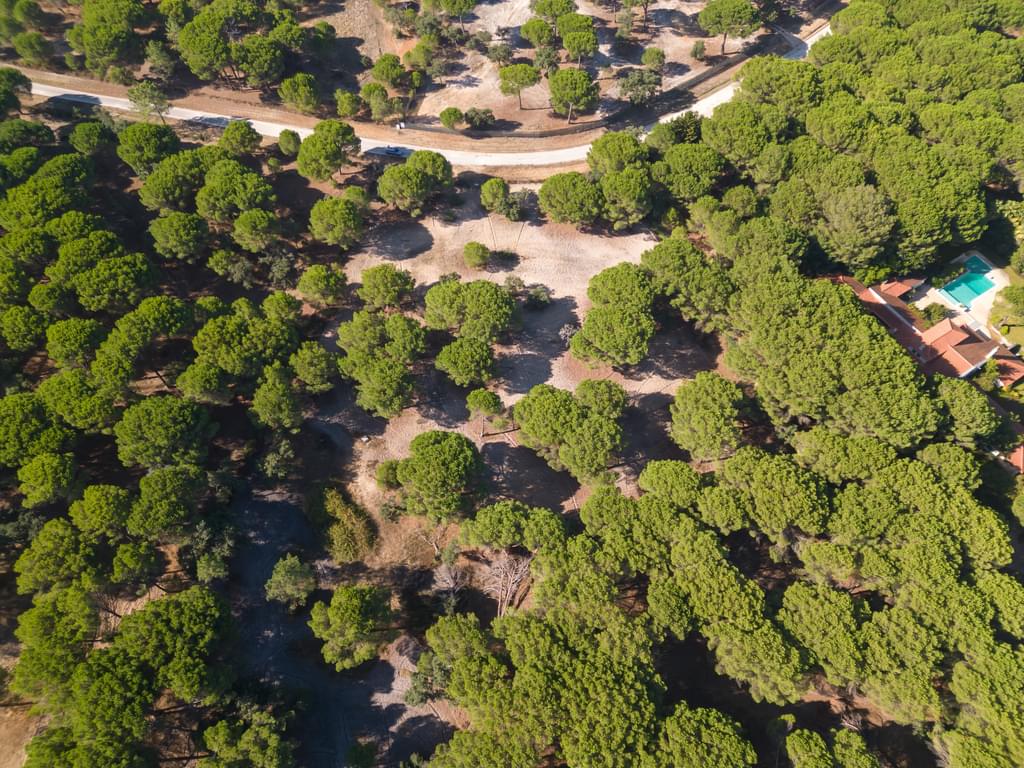Land 2.6 ha, Santo Estevão, Benavente 2855862640