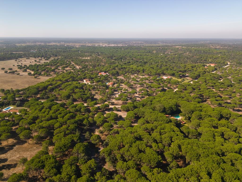 Land 2.6 ha, Santo Estevão, Benavente 2855862640