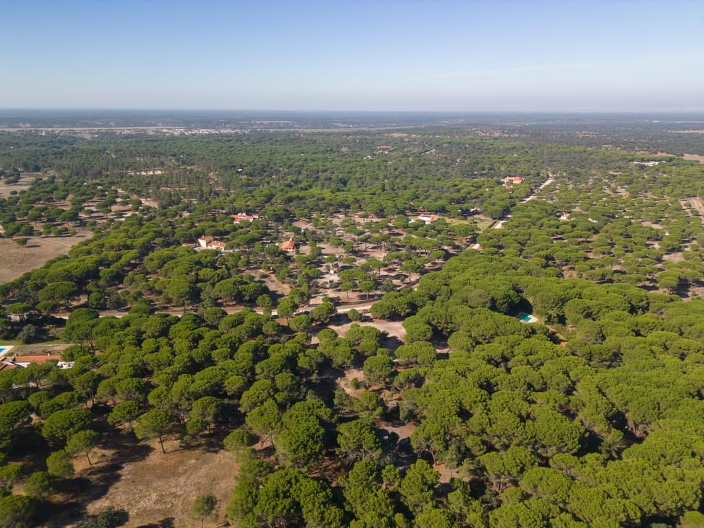 Land 2.6 ha, Santo Estevão, Benavente 2855862640