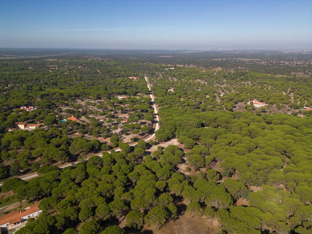 Land 2.6 ha, Santo Estevão, Benavente 2855862640