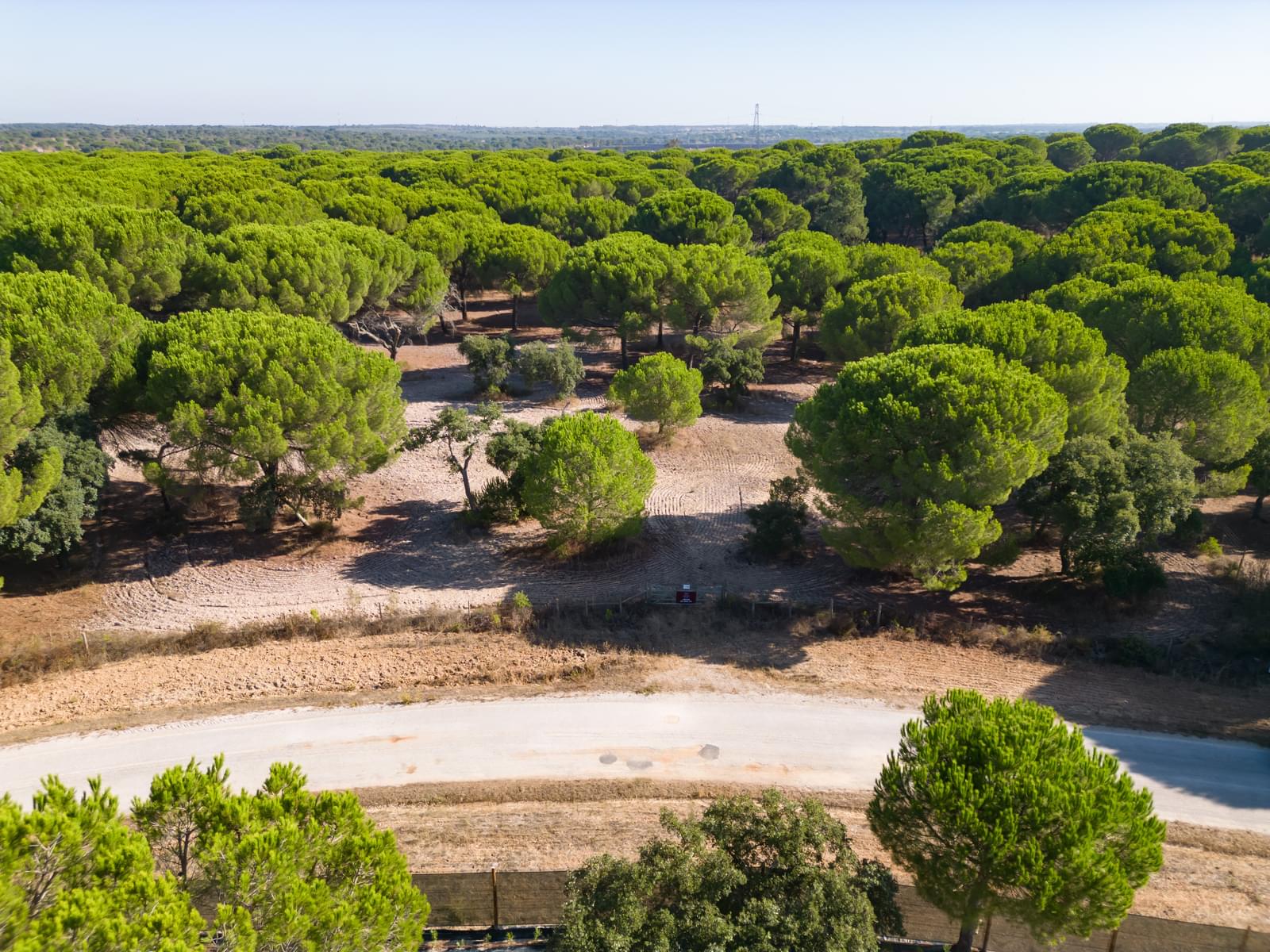 Terreno 2.6 ha, Santo Estevão, Benavente - Imagem 6