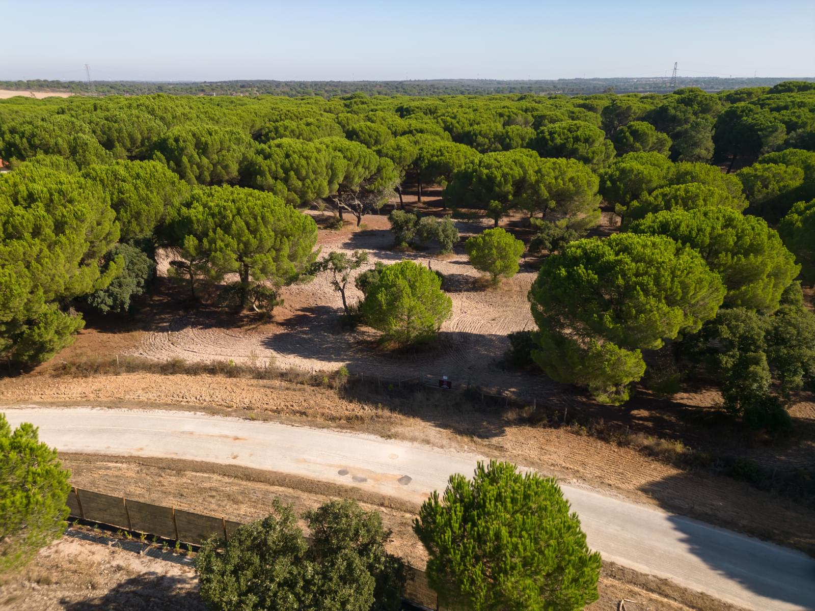 Terreno 2.6 ha, Santo Estevão, Benavente - Imagem 7