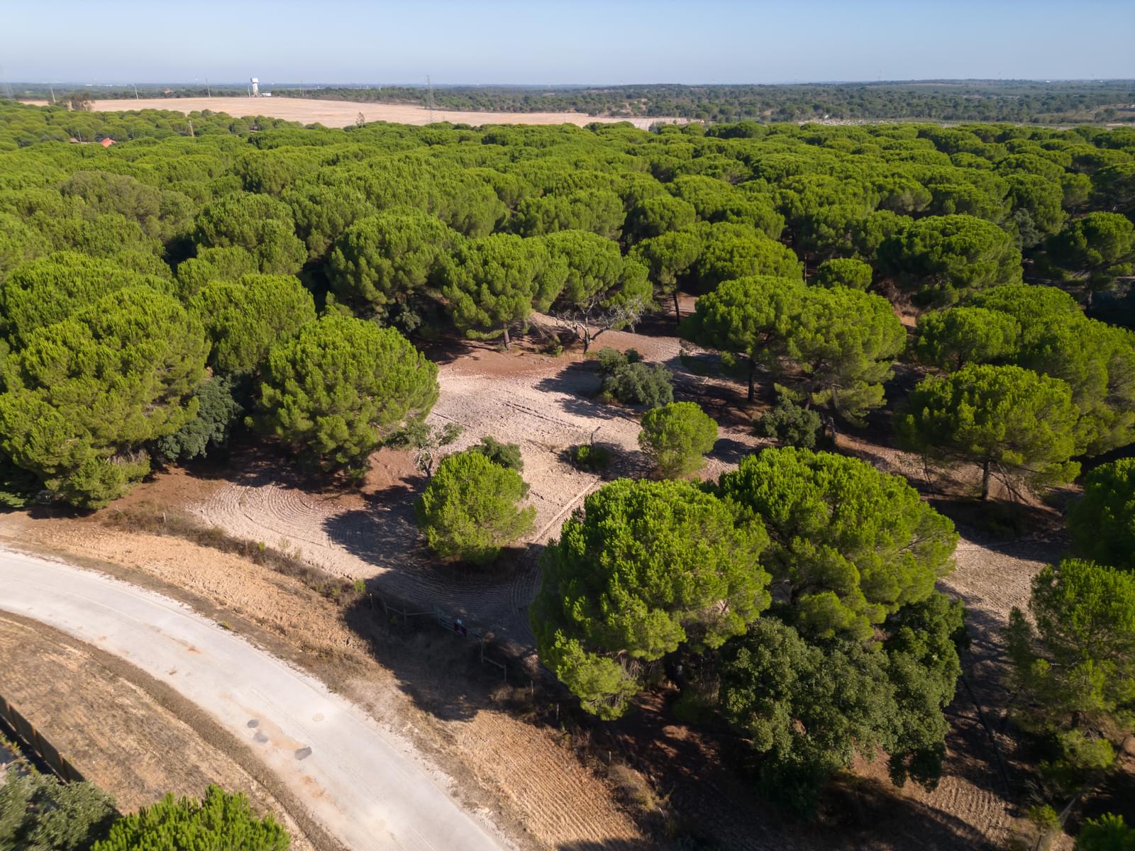 Terreno 2.6 ha, Santo Estevão, Benavente - Imagem 8