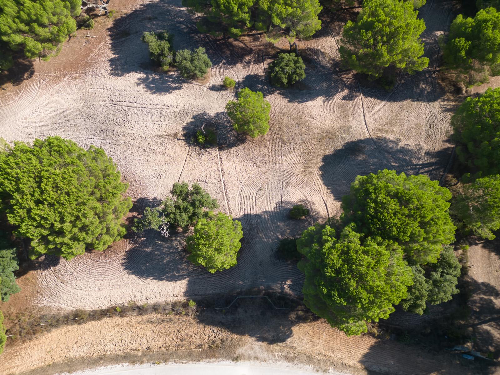 Terreno 2.6 ha, Santo Estevão, Benavente - Imagem 9