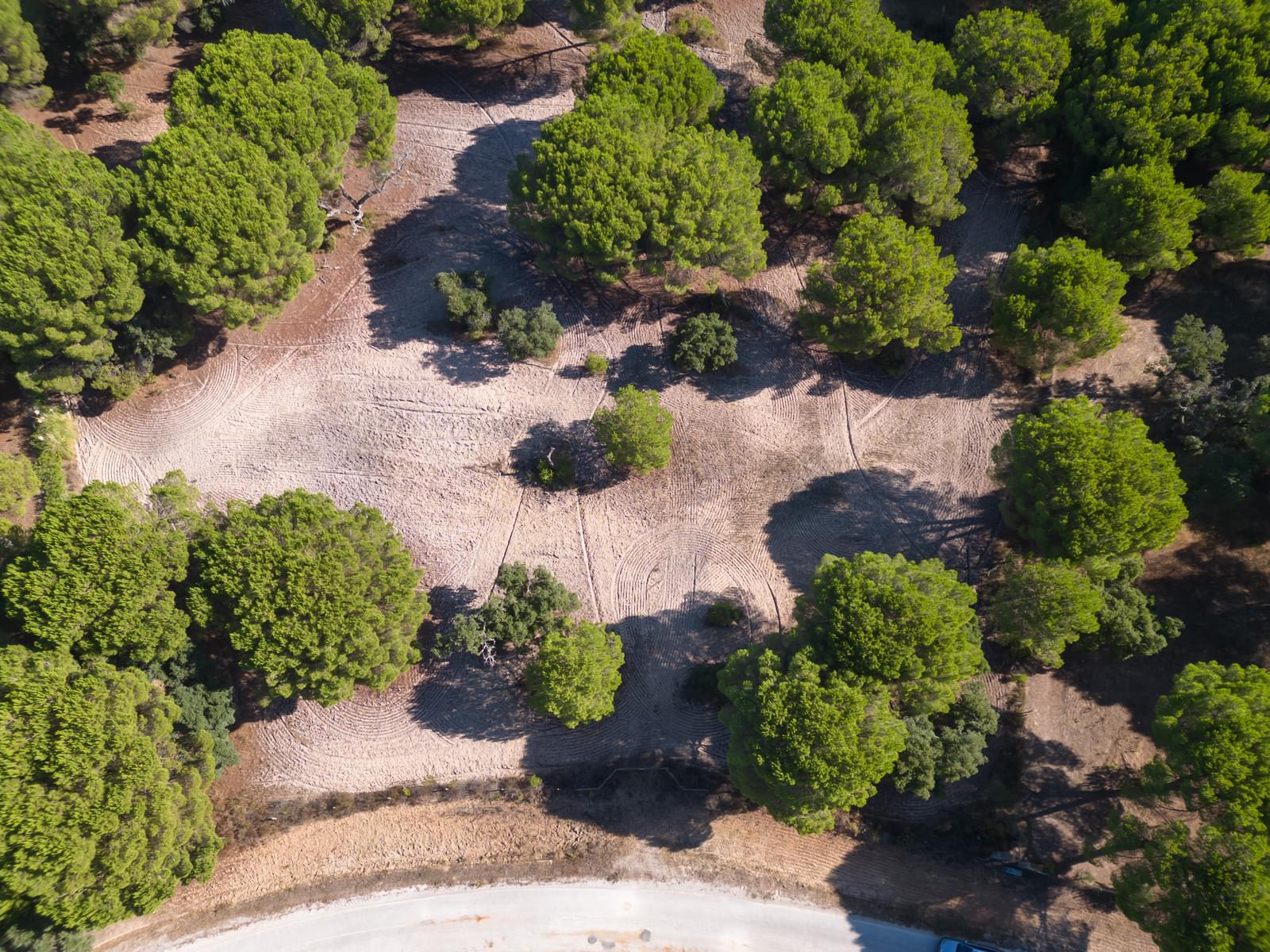 Terreno 2.6 ha, Santo Estevão, Benavente - Imagem 10