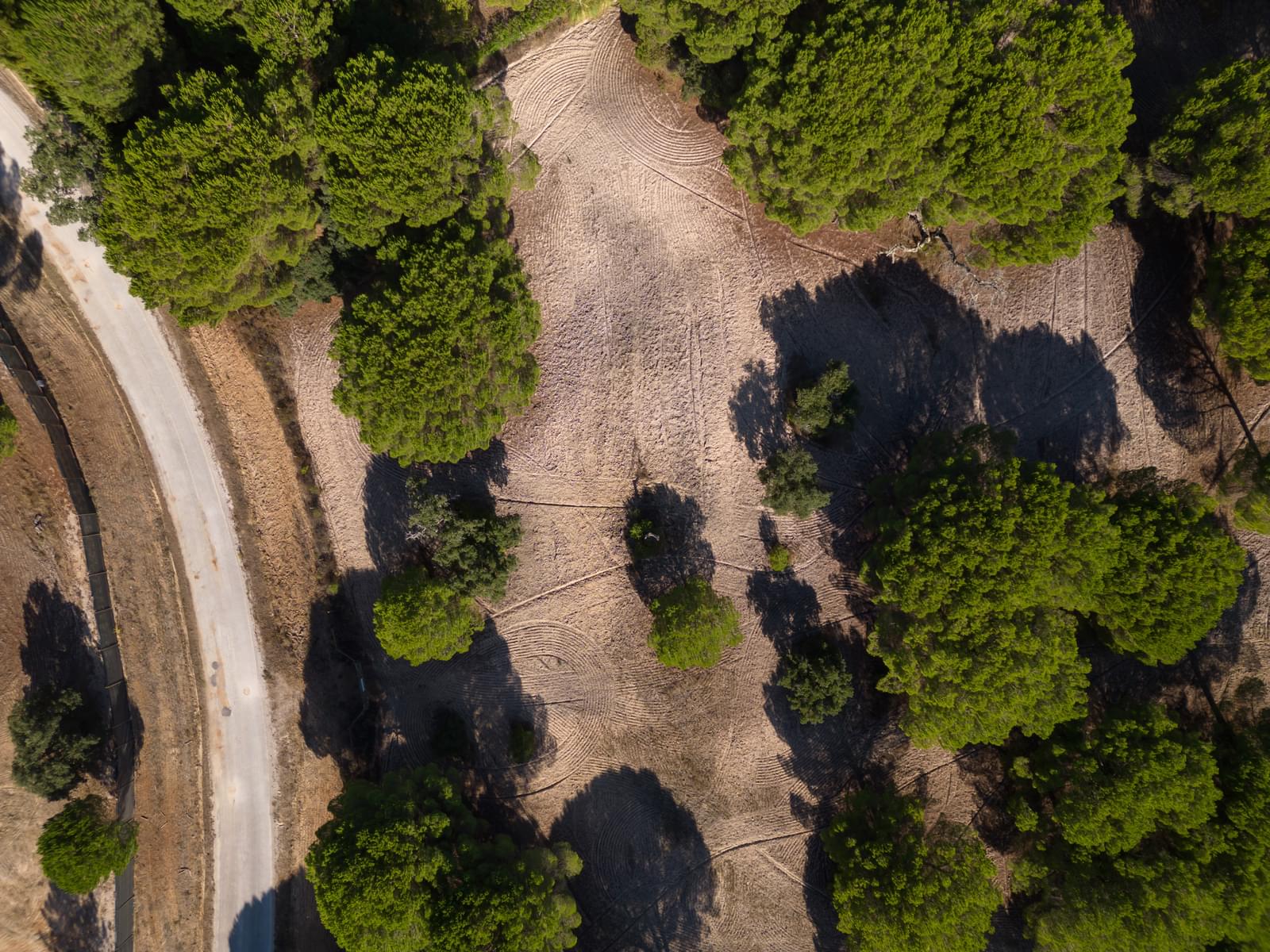 Terreno 2.6 ha, Santo Estevão, Benavente - Imagem 11