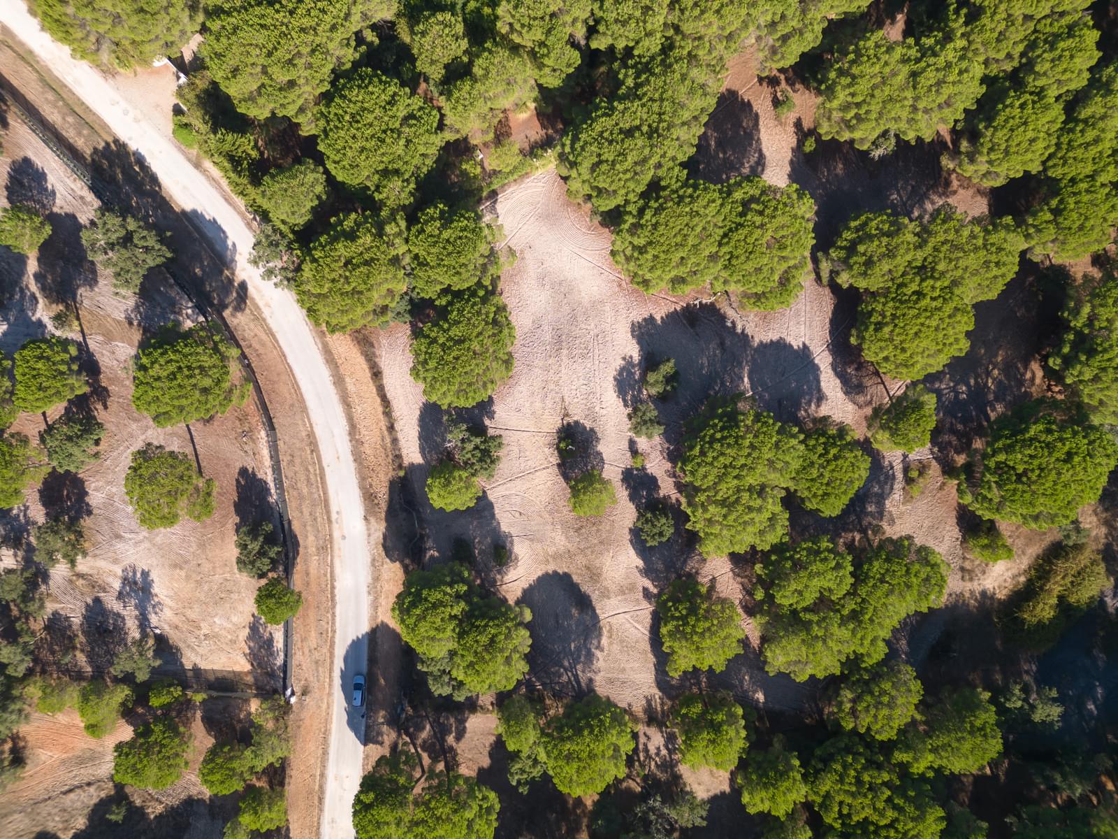 Terreno 2.6 ha, Santo Estevão, Benavente - Imagem 12