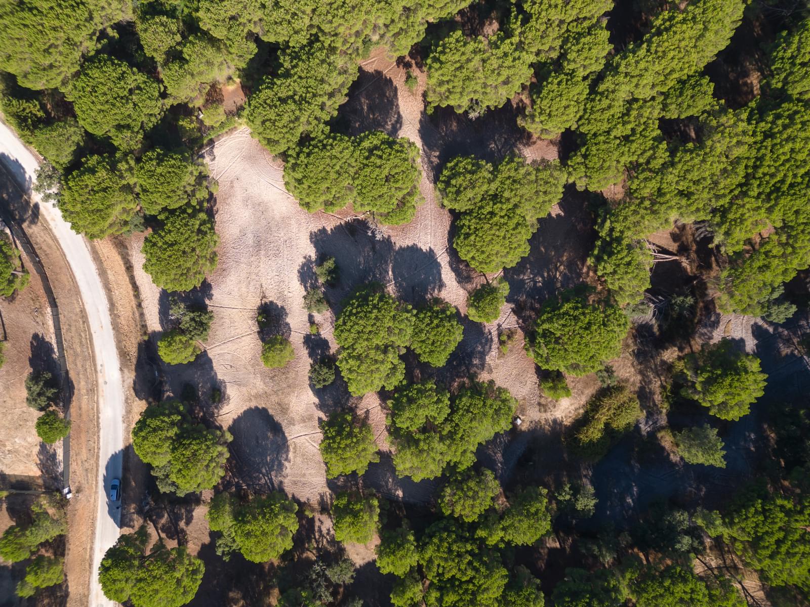 Terreno 2.6 ha, Santo Estevão, Benavente - Imagem 13