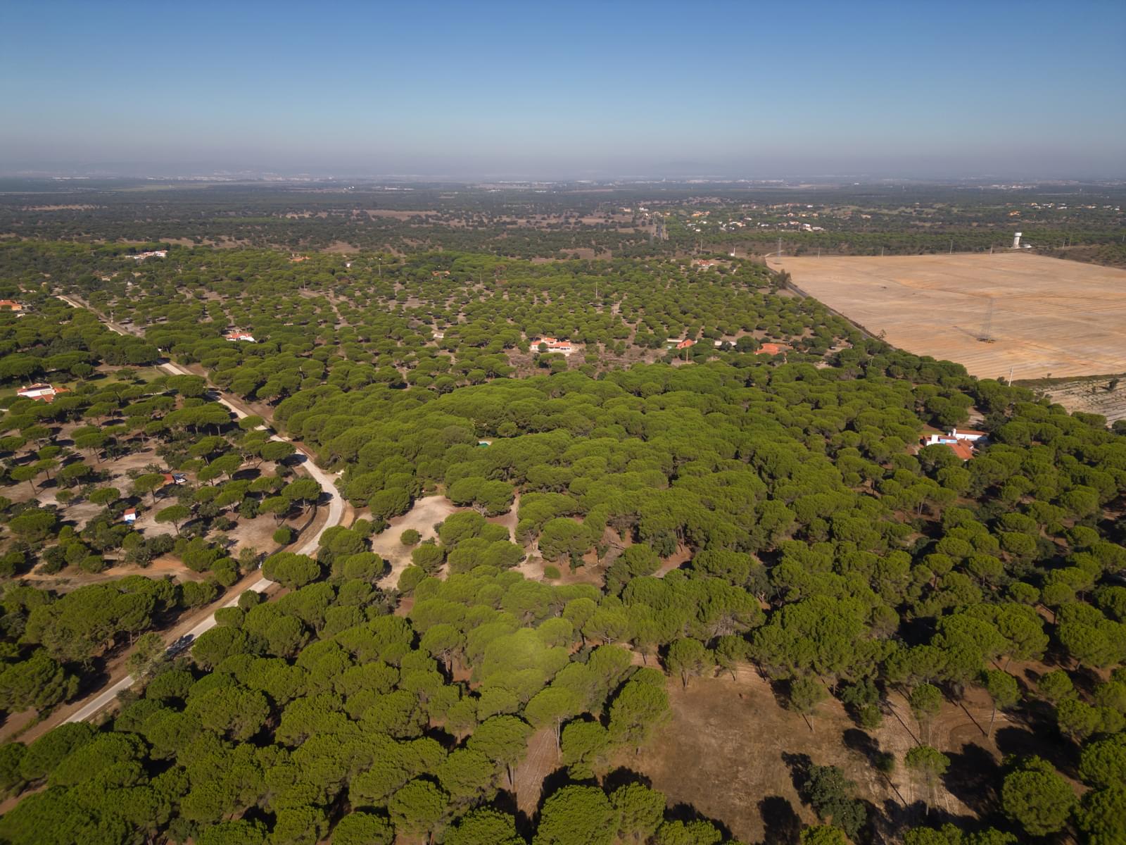 Terreno 2.6 ha, Santo Estevão, Benavente - Imagem 17
