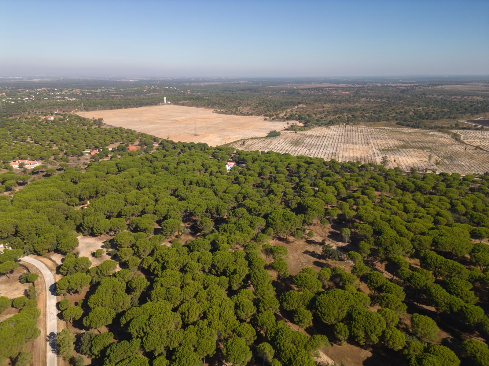 Terreno 2.6 ha, Santo Estevão, Benavente - Imagem 20