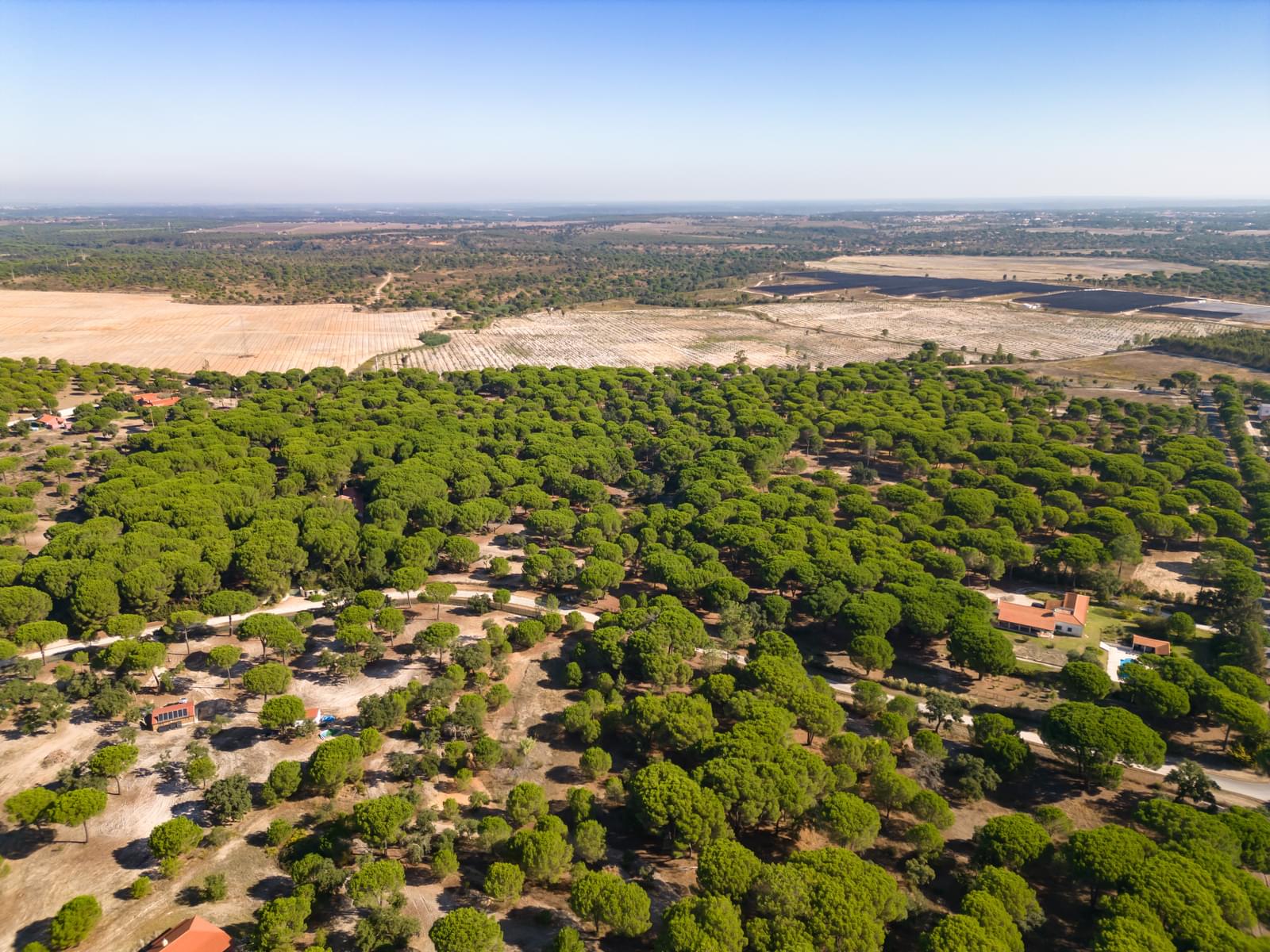 Terreno 2.6 ha, Santo Estevão, Benavente - Imagem 19