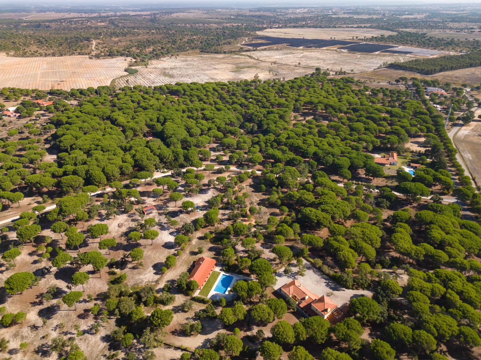 Terreno 2.6 ha, Santo Estevão, Benavente - Imagem 16