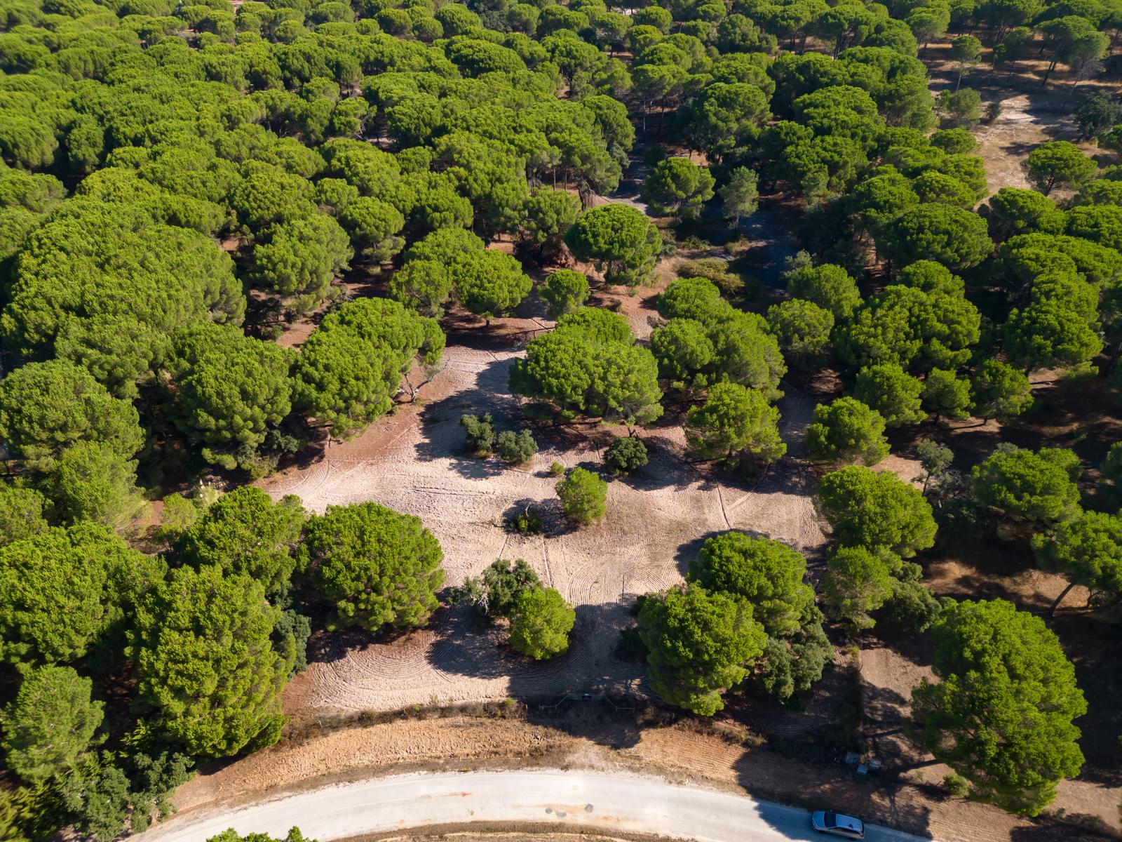 Terreno 2.6 ha, Santo Estevão, Benavente - Imagem 2