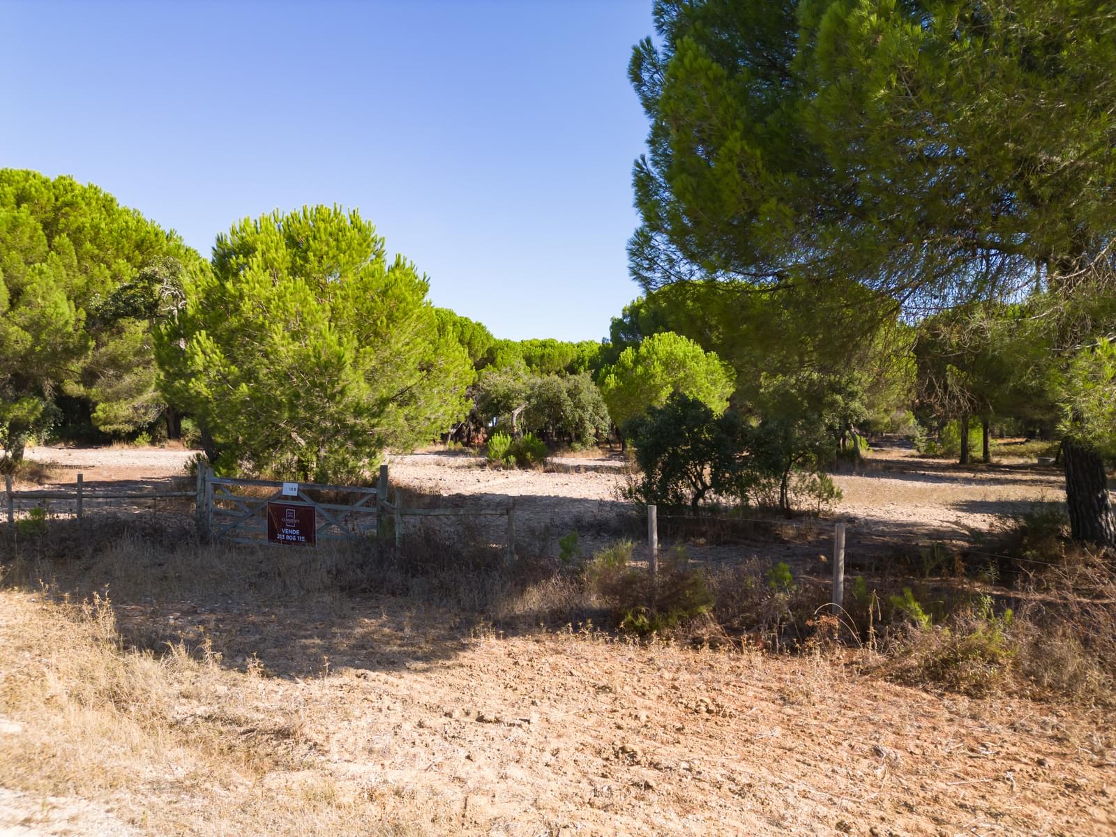 Terreno 2.6 ha, Santo Estevão, Benavente - Imagem 15