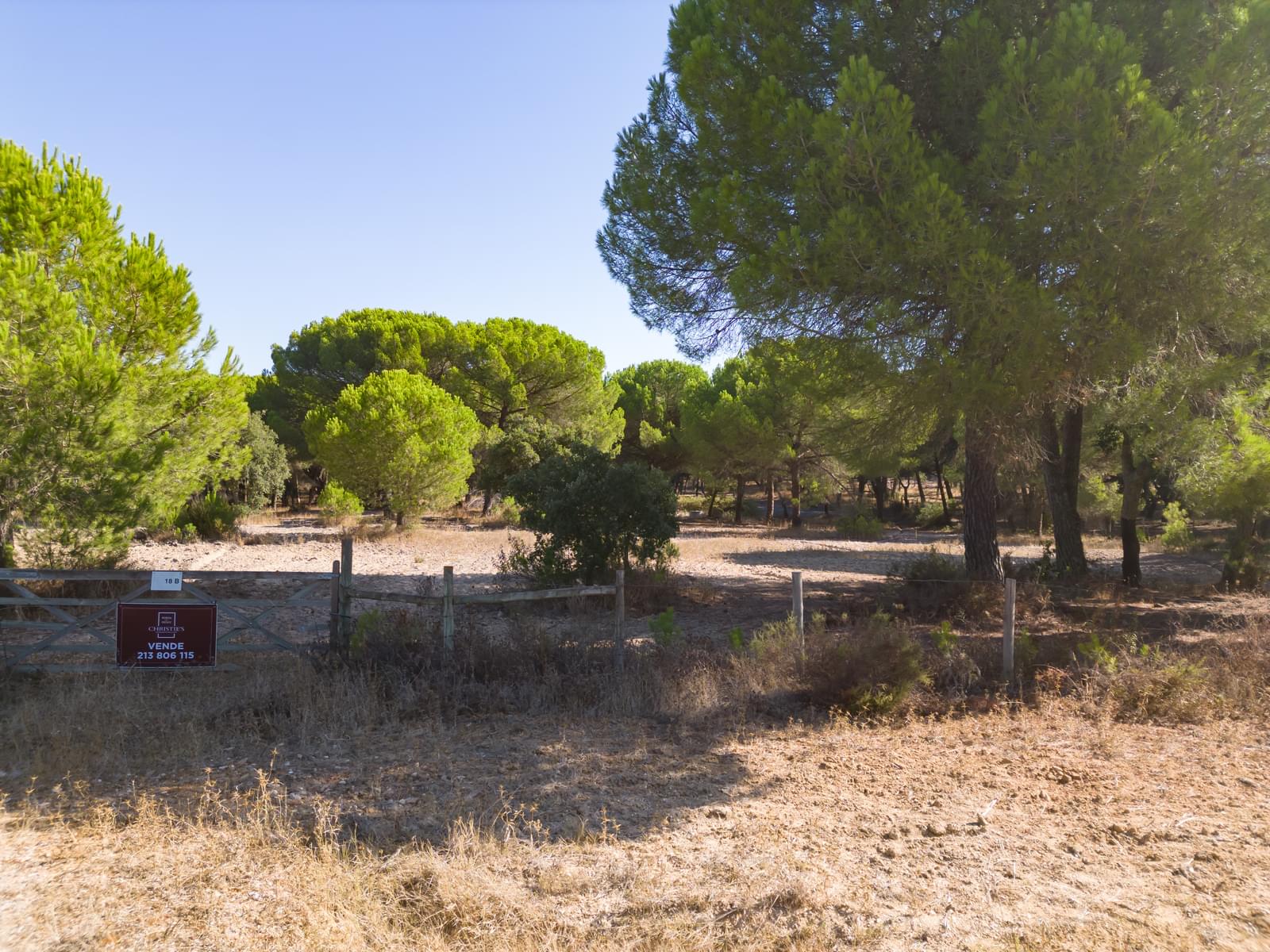 Terreno 2.6 ha, Santo Estevão, Benavente - Imagem 14